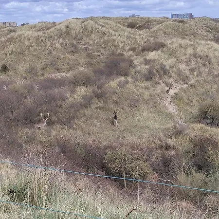 Ons Strandhuis IJmuiden